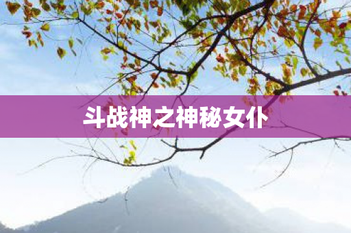 斗战神之神秘女仆图片
