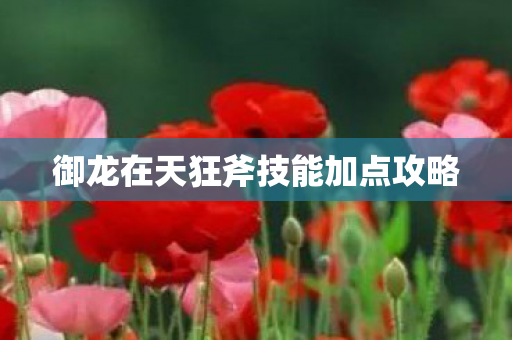 御龙在天狂斧技能加点攻略图片