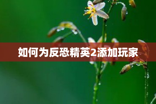 如何为反恐精英2添加玩家图片