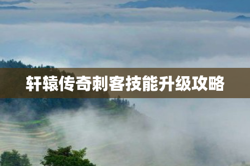 轩辕传奇刺客技能升级攻略图片