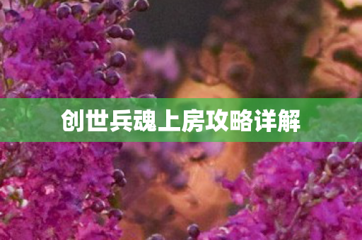 创世兵魂上房攻略详解图片