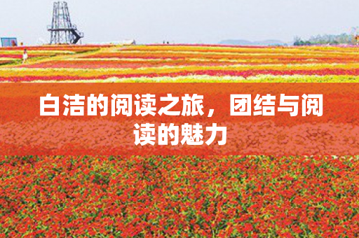 团结与阅读的魅力图片