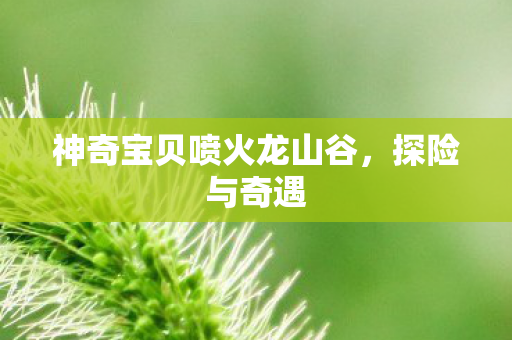 神奇宝贝喷火龙山谷图片