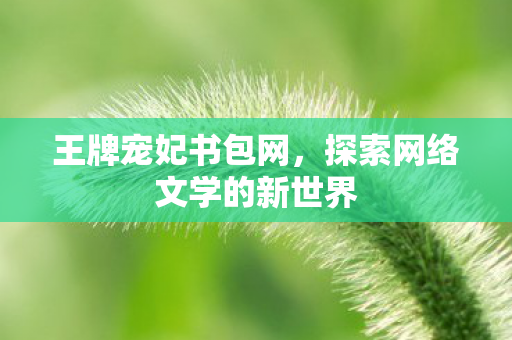 探索网络文学的新世界图片