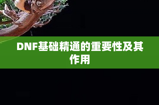 DNF基础精通的重要性及其作用图片