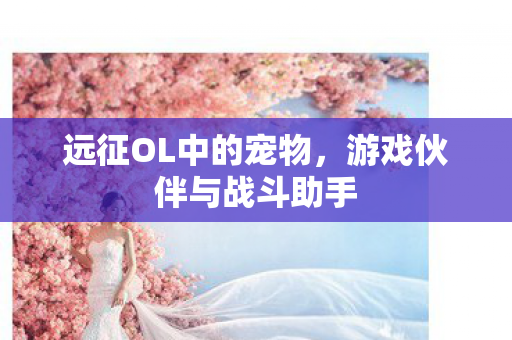 游戏伙伴与战斗助手图片