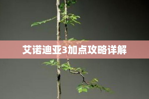 艾诺迪亚3加点攻略详解图片