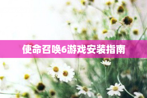 使命召唤6游戏安装指南图片