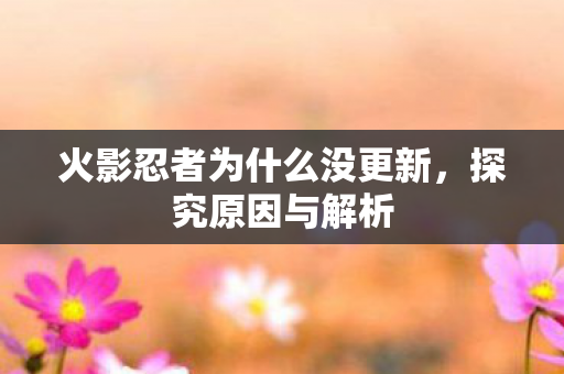火影忍者为什么没更新图片