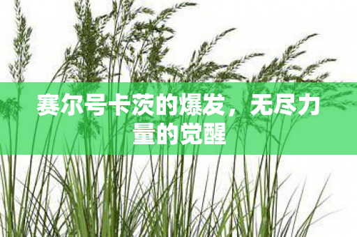 赛尔号卡茨的爆发图片