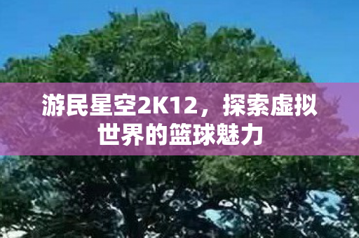 探索虚拟世界的篮球魅力图片