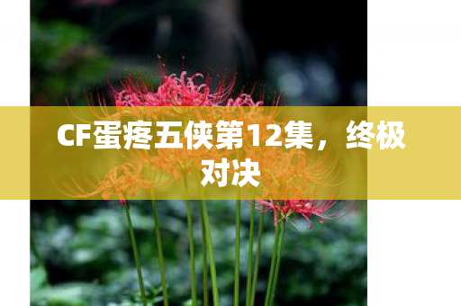 CF蛋疼五侠第12集图片