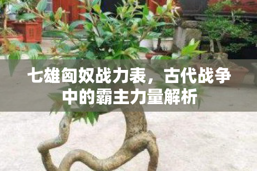 古代战争中的霸主力量解析图片