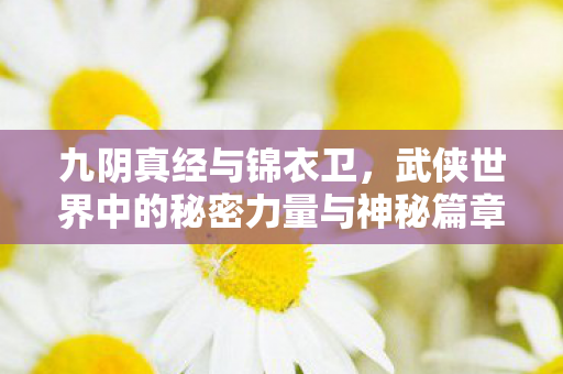 武侠世界中的秘密力量与神秘篇章图片