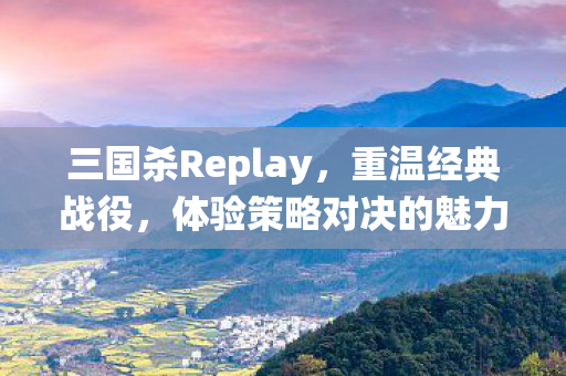 三国杀Replay图片