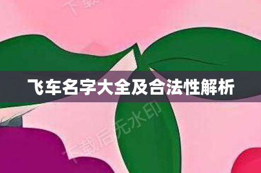 飞车名字大全及合法性解析图片