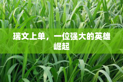 一位强大的英雄崛起图片