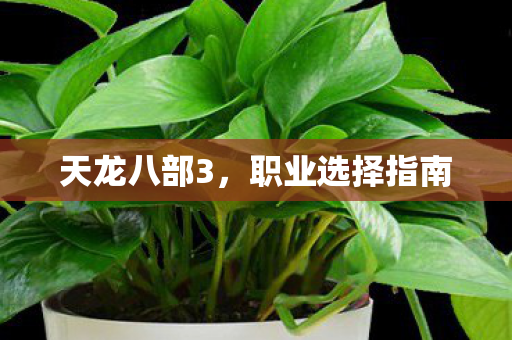 职业选择指南图片