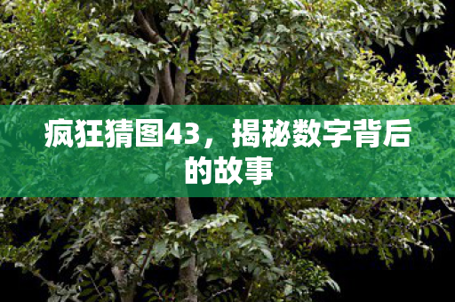 揭秘数字背后的故事图片