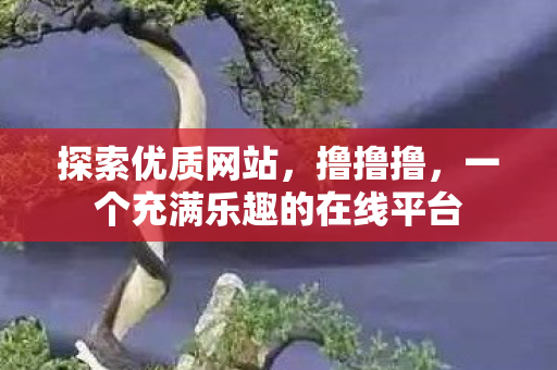 一个充满乐趣的在线平台图片