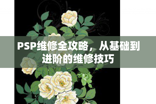 从基础到进阶的维修技巧图片