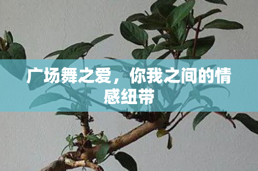 你我之间的情感纽带图片