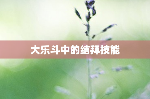 大乐斗中的结拜技能图片