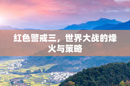 世界大战的烽火与策略图片