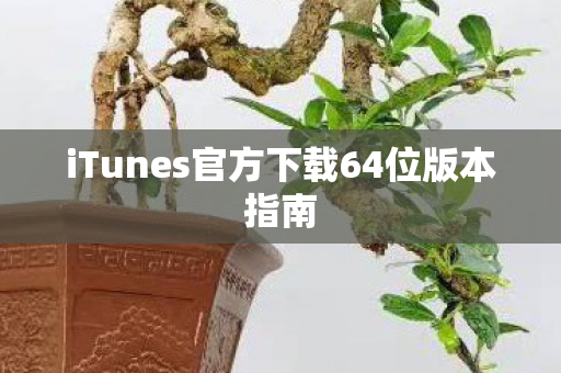 iTunes官方下载64位版本指南图片