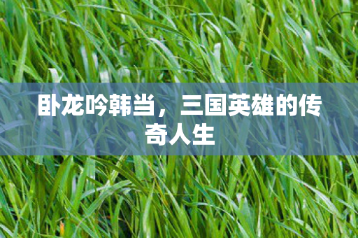三国英雄的传奇人生图片