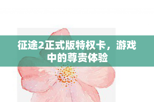 征途2正式版特权卡图片