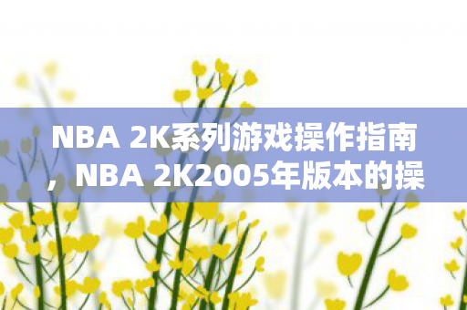 NBA 2K2005年版本的操作技巧与策略图片