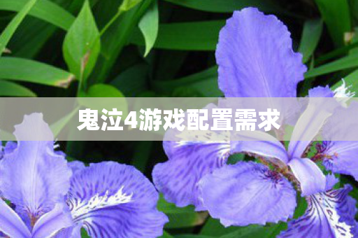 鬼泣4游戏配置需求图片