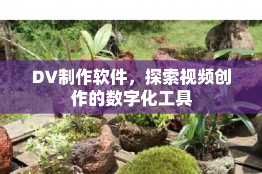 探索视频创作的数字化工具图片