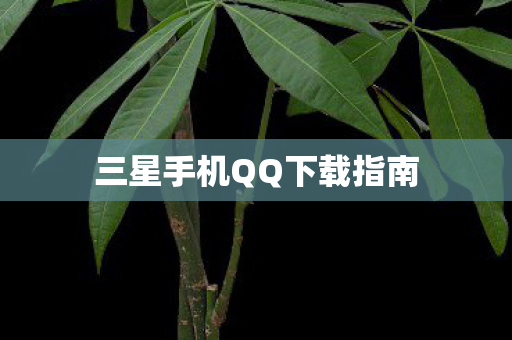三星手机QQ下载指南图片