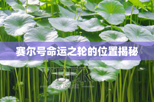 赛尔号命运之轮的位置揭秘图片