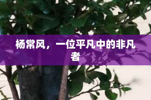 一位平凡中的非凡者图片