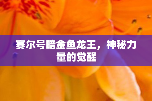 赛尔号暗金鱼龙王图片