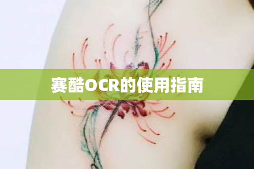 赛酷OCR的使用指南图片