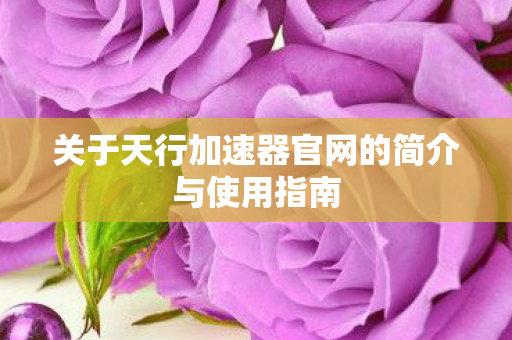 关于天行加速器官网的简介与使用指南图片