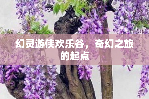 幻灵游侠欢乐谷图片