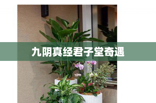 九阴真经君子堂奇遇图片