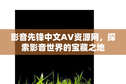 影音先锋中文AV资源网图片