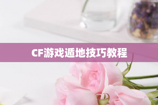 CF游戏遁地技巧教程图片