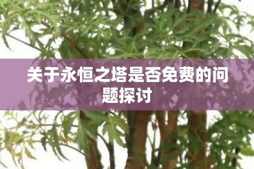 关于永恒之塔是否免费的问题探讨图片