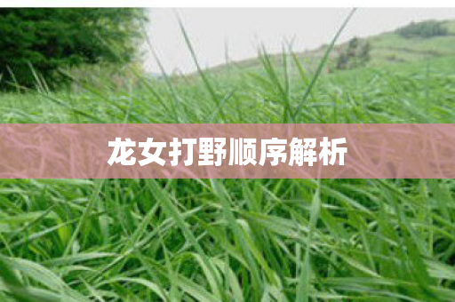 龙女打野顺序解析图片