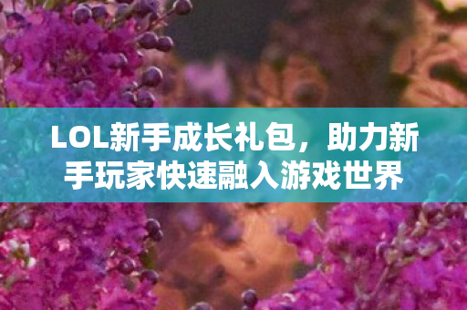 助力新手玩家快速融入游戏世界图片