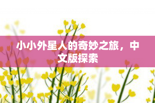小小外星人的奇妙之旅图片