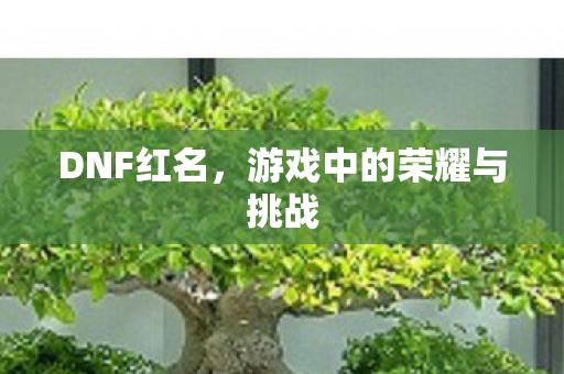 游戏中的荣耀与挑战图片