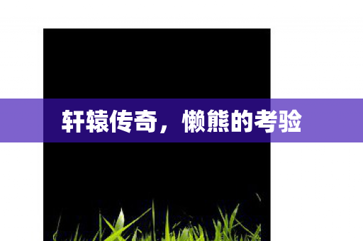 懒熊的考验图片